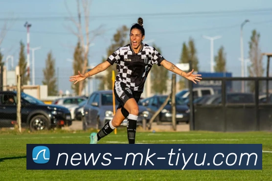 MK体育APP 封面图